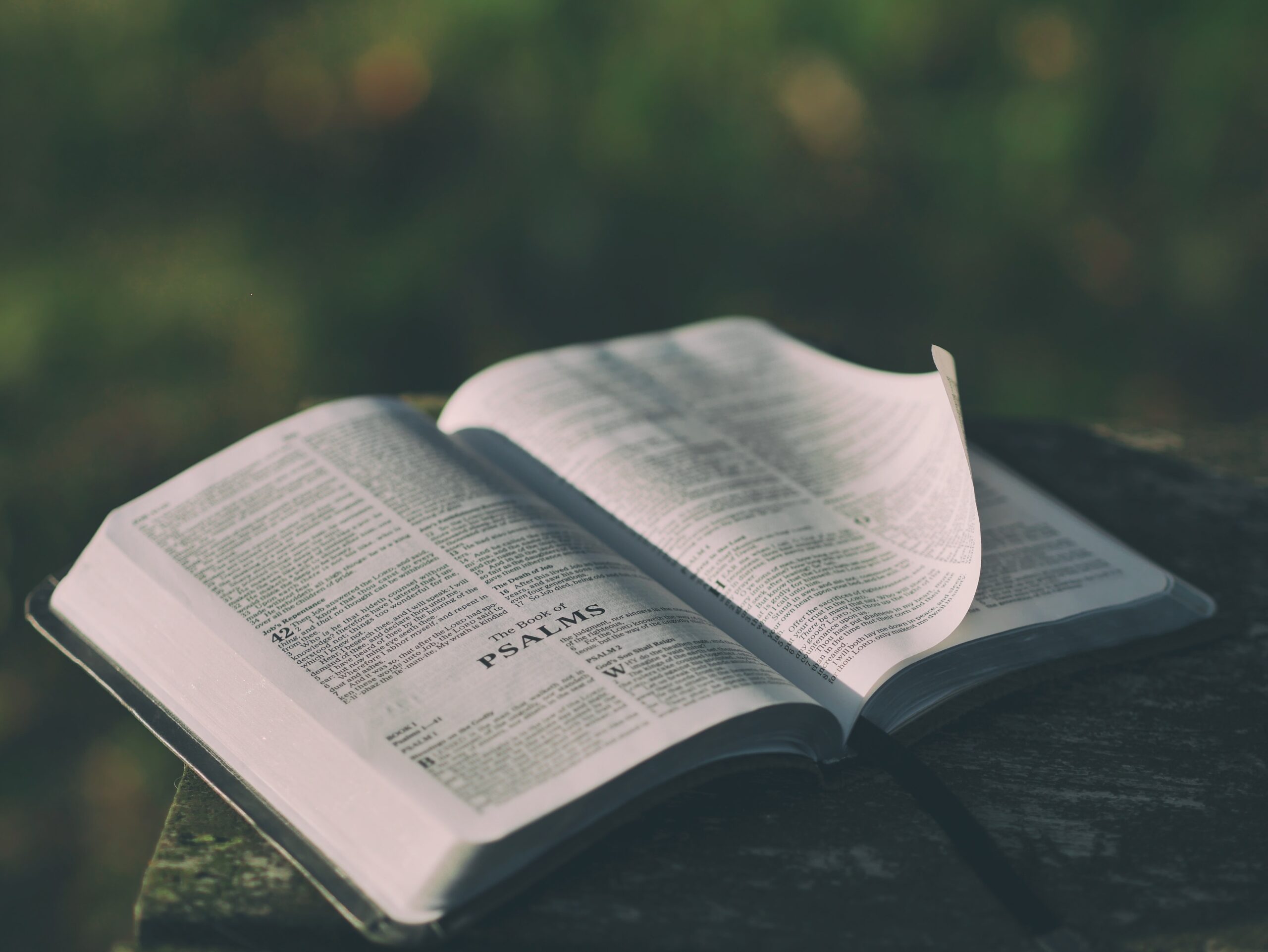 como fazer minha Igreja Evangélica aparecer no google