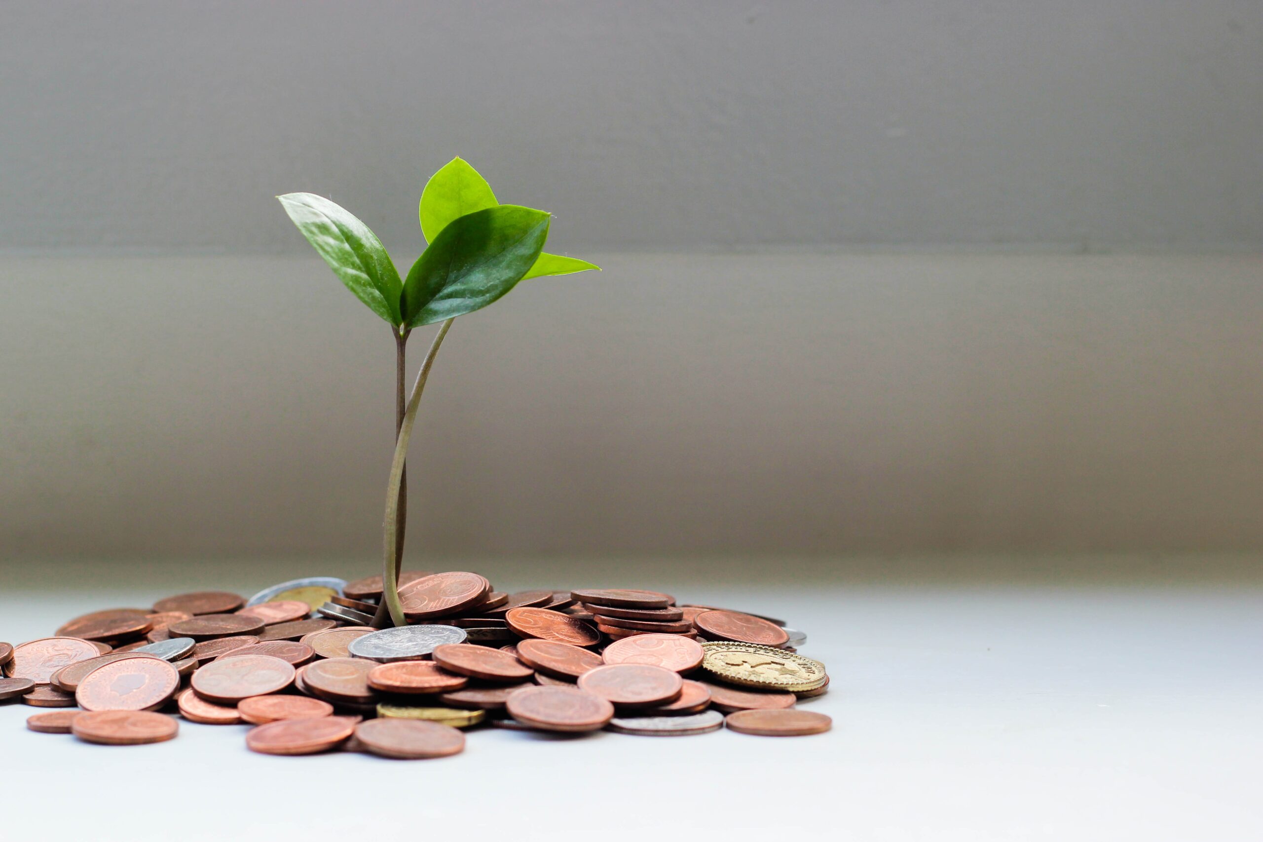 Criar Site para Contabilidade: Dicas para ter um site e vender mais